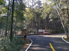-潜山国家森林公园