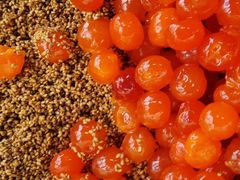 -召稼楼永茂昌粽子大王