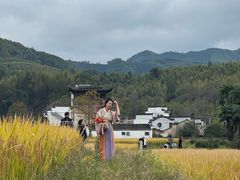 -塔川景区