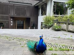 -都江堰普照寺