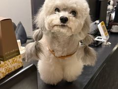 -木兰逸•泰式按摩•头疗•SPA(车公庙店)