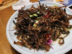 -雀舞云南菜(天津天河城购物中心店)