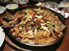 -老板恋上鱼(高新万达店)