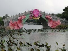 -映月湖公园