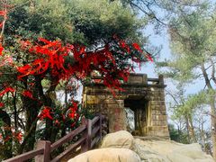 -缙云山景区