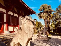 -洛阳古墓博物馆