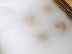 -原牛道·潮汕围炉火锅(讯美店)
