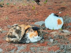 -华东政法大学(松江校区)