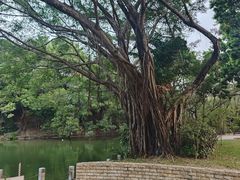 -人民公园(罗湖区)