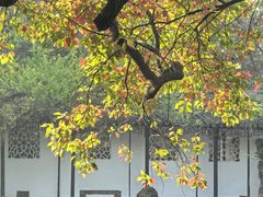 -西园寺素食(西园弄戒幢律寺店)