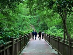 -紫金山山顶公园