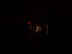 -枫花园汽车电影院(朝阳公园店)