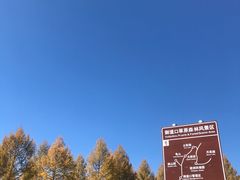 -塞罕坝国家级自然保护区