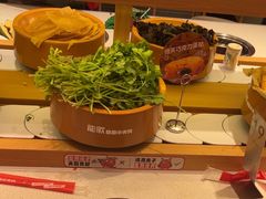 -龍歌自助小火锅(崂山丽达店)