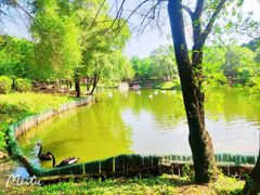 -沈阳森林动物园