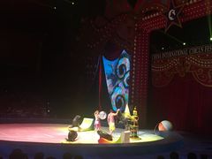 -珠海横琴长隆《卡卡虎奇遇记》