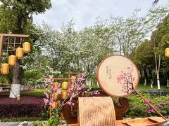 -长田漾湿地公园