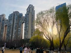 -西北湖绿化广场