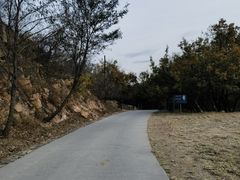 -北京西山国家森林公园