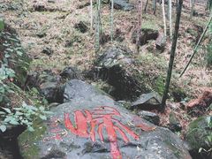 -藏龙百瀑风景区