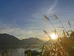 -北岐滩涂