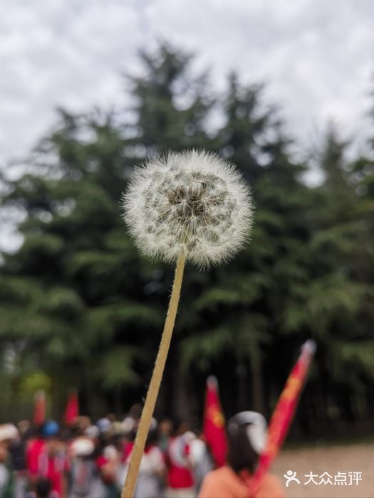 西部兰花园生态园图片