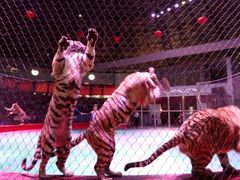 -西安秦岭野生动物园