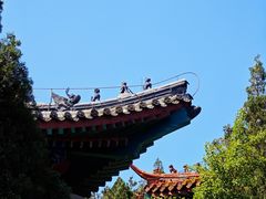 -龙口南山旅游景区