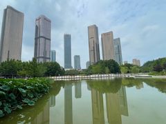 -大望京公园