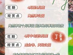 -沉浸北京·团建旅行·密室剧本杀·年会会议轰趴拓展