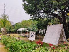 -立新湖公园