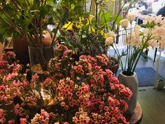 -花二家·生活馆(六运小区店)