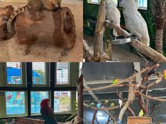 -海合安武汉极地海洋公园