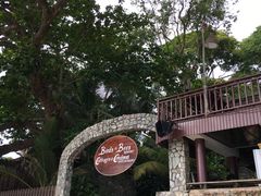 -卷心菜和避孕套餐厅(Pattaya)