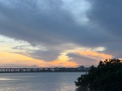 -宝安西湾红树林湿地公园