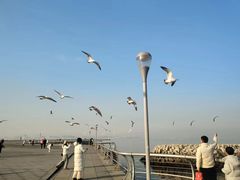 -东港音乐喷泉广场