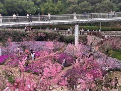-狐尾山公园