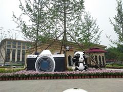-府河摄影公园
