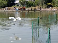 -五缘湾湿地公园