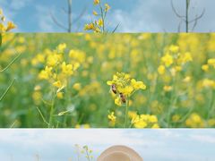 -光明小镇欢乐田园