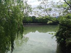 -西溪国家湿地公园