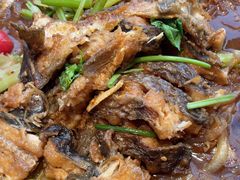 -老板恋上鱼(恒隆广场店)