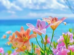 -万龙洲海鲜(安定门店)