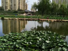 -前关湿地公园