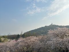 -苏州上方山国家森林公园