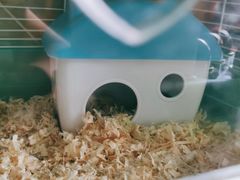 -龙猫仔乐园(惠福东路店)