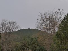 -秦始皇帝陵博物院-丽山园