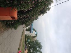 iphone_upload_pic-北京石景山游乐园