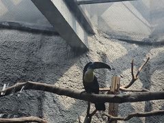-武汉动物园