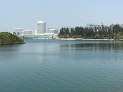 -五缘湾湿地公园